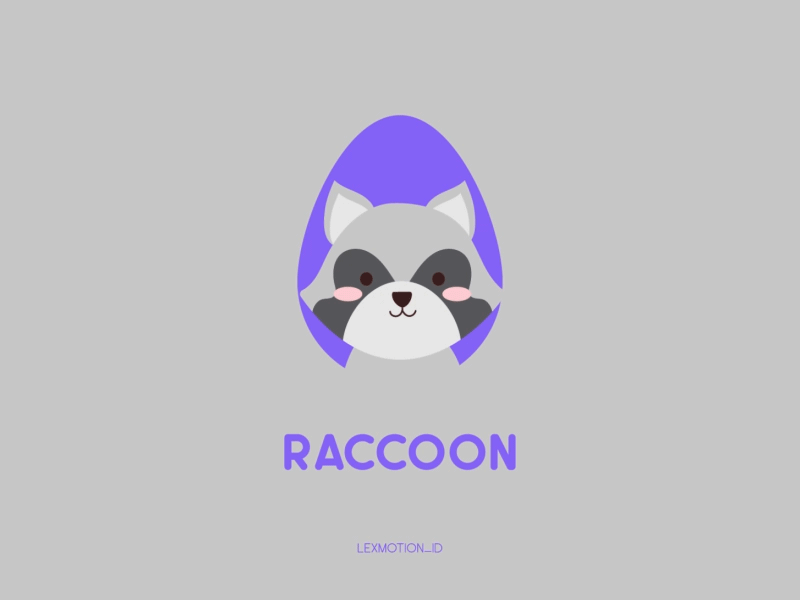 R for Raccoon after effect animal design dribbble dribble flat design hello dribbble icon illustration logo motion graphic raccoon vector