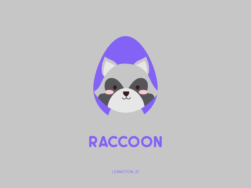 R for Raccoon