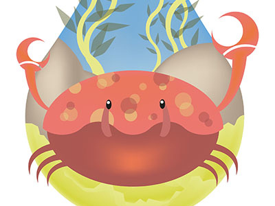 Crab crab illustration