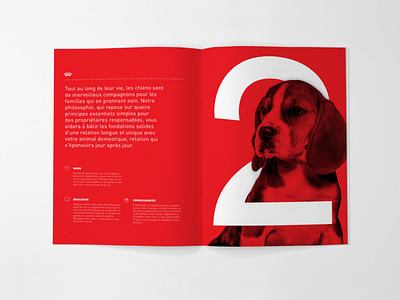 Puppy guide branding design lettering minimal type typography