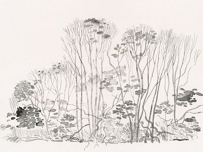 Trees in 't Twiske black and white derek bacon drawing illustration ink line drawing pencil sketchbook