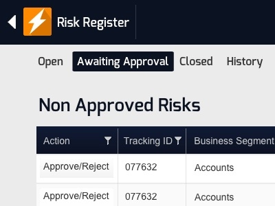 Risk Register layout menu ui