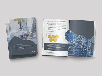Achievements & Services Book book branding client concept corporate designing engaging graphics ideas
