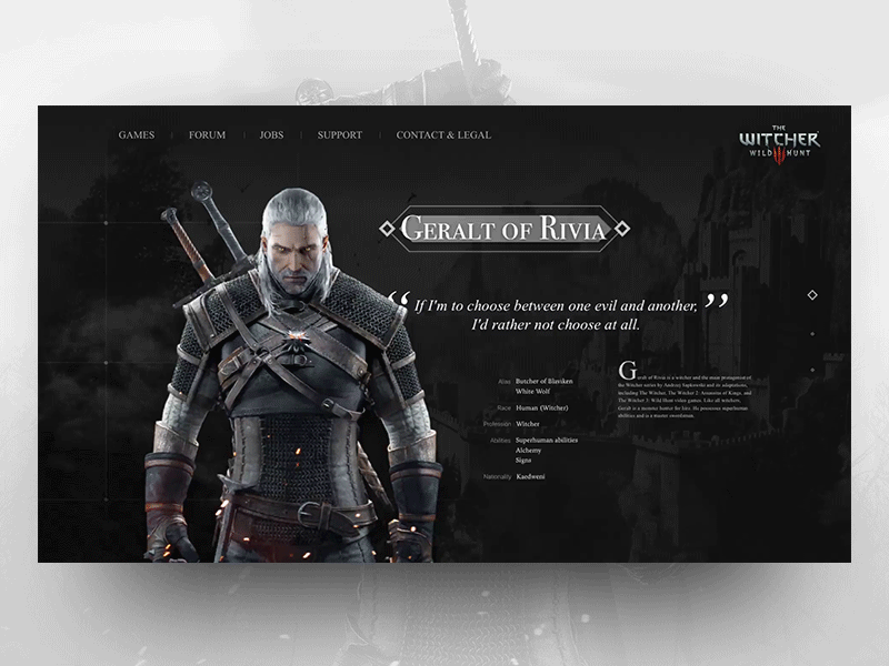 Witcher 3 characters web animation ui web