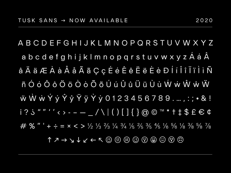 Tusk Sans custom type font grotesque letter letters neo grotesque type specimen typography
