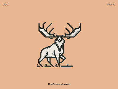 The Great Irish Elk custom type lettering logo design monoweight illustration typography