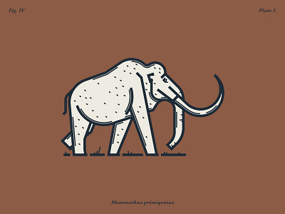 The Woolly Mammoth custom type lettering logo design monoweight illustration typography