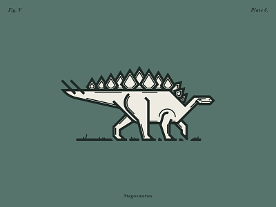 The Stegosaurus