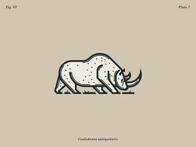 The Woolly Rhinoceros