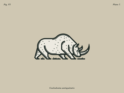 The Woolly Rhinoceros custom type lettering logo design monoweight illustration typography