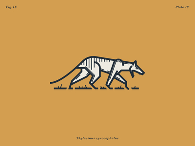 The Tasmanian Wolf custom type lettering logo design monoweight illustration typography