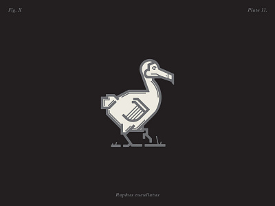 The Dodo custom type lettering logo design monoweight illustration typography