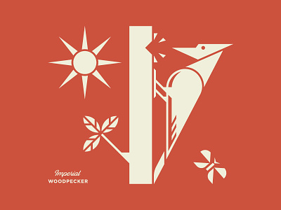 Imperial Woodpecker animal bird dribbble geometric identity design illustration logo design woodpecker