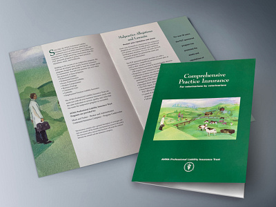 AVMA Comprehensive Practice Insurance Booklet branding brochure graphic design print design