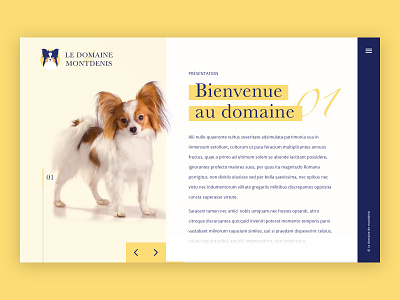 Web Design - Le Domaine de Montdenis branding design dog homepage institutional pet site ux ui webdesign website work