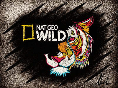 Tiger branding chalk art colorful creative design effects illustration illustrator logo tiger wild wildlife