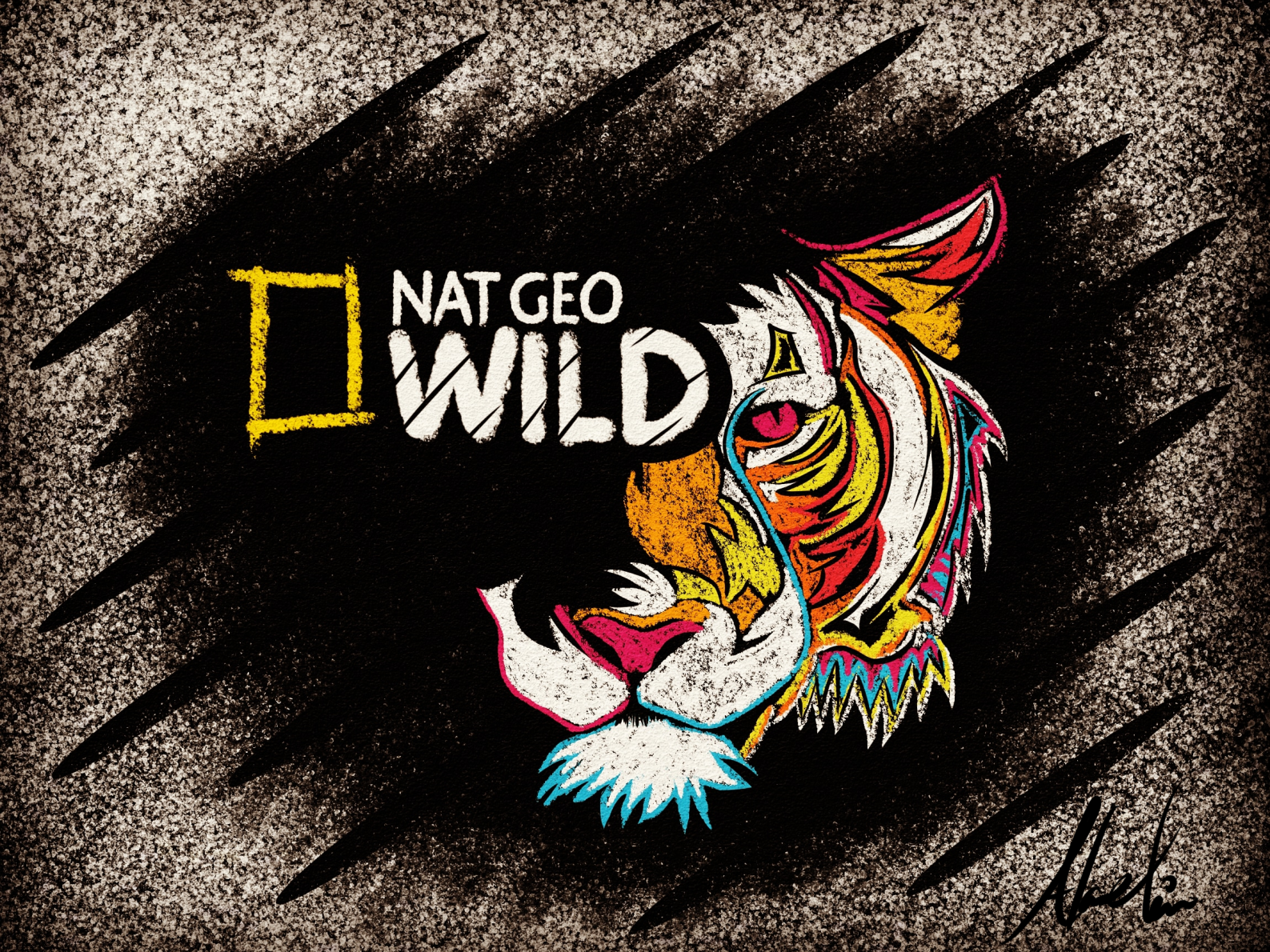 Nat Geo Wild On Air Branding 3