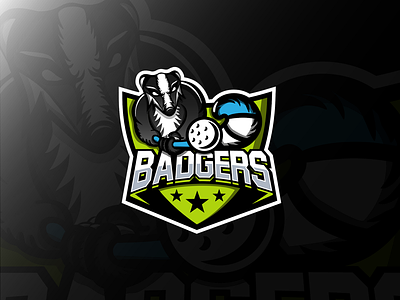 Badgers Sports Logo