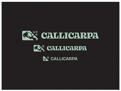 Callicarpa Productions - Responsive Branding bird bird logo branding illustration logo responsive branding responsive design vector