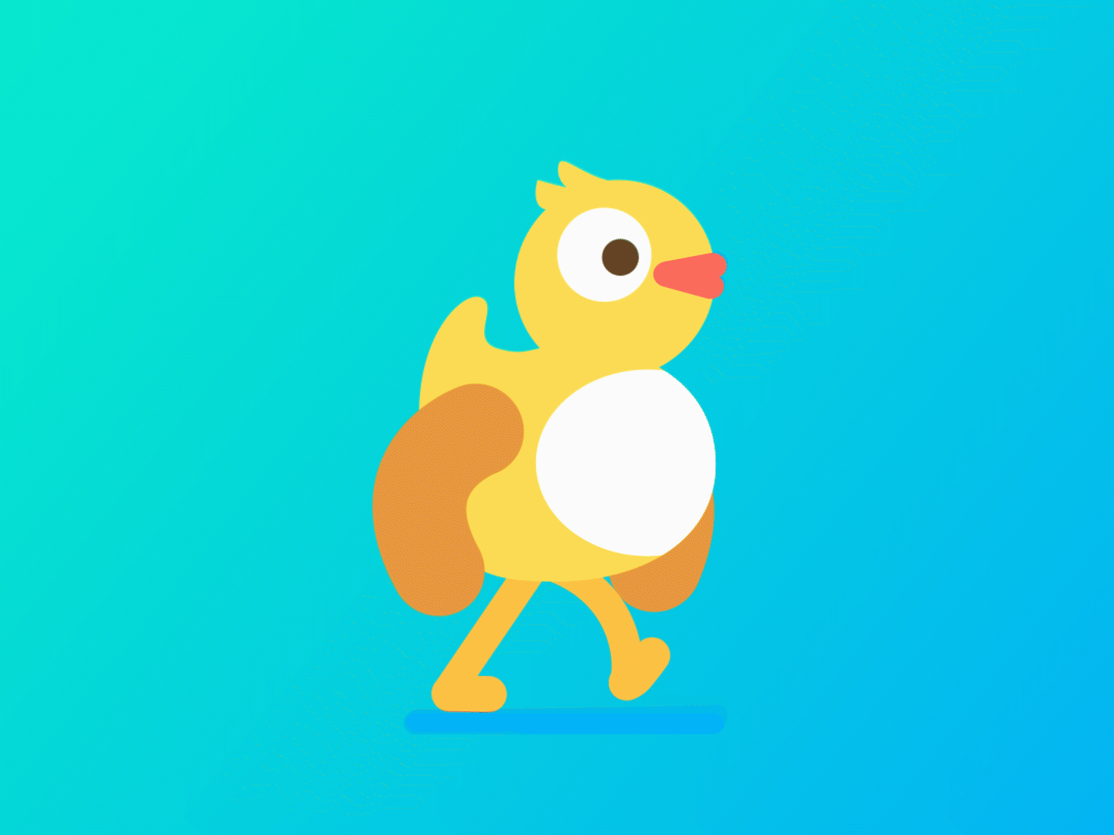Bird aftereffects animation bird character chicken motion design walk