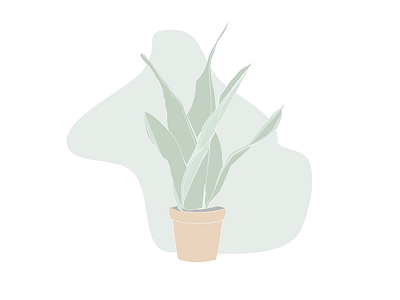 Snake Plant design doodles drawing illustration plant sketch snake plant