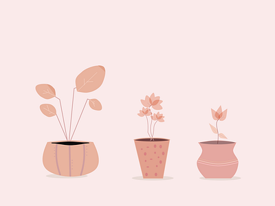 Plants