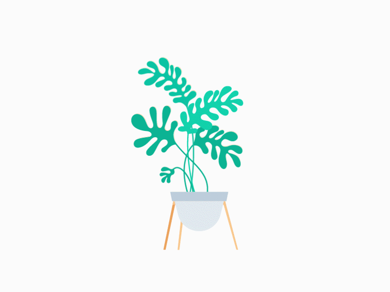 Plant adobe after effects illustration motion plant wind