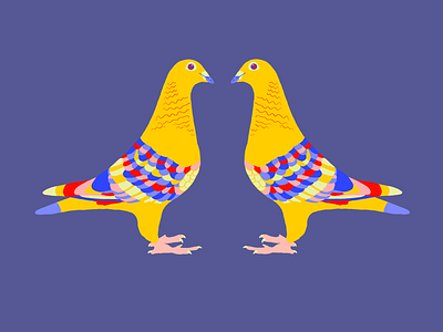 Colombian pigeons! bird colombia colors colors of colombia illustration pigeon