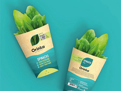 Branding & Packaging - Orinko