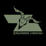 ZAKARIA HAMWI