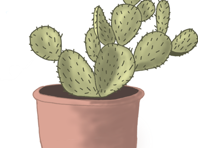 Cactus illustration cacti cactus illustration illustration design plant succulent