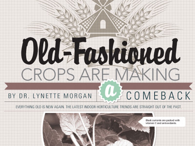 Old fashioned Crops layout magazine spread print