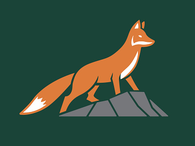 Red Fox Branding (Logo, Icons, Business Cards, Website)