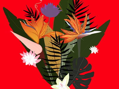 tropical theme birds of paradise color drawing flowers illustrations plants print red tropical wacom