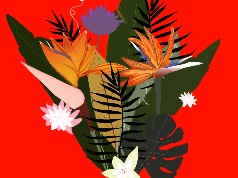 tropical theme by Kim Alban on Dribbble