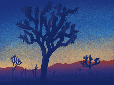 Reach desert forest illustration landscape procreate summer sunrise