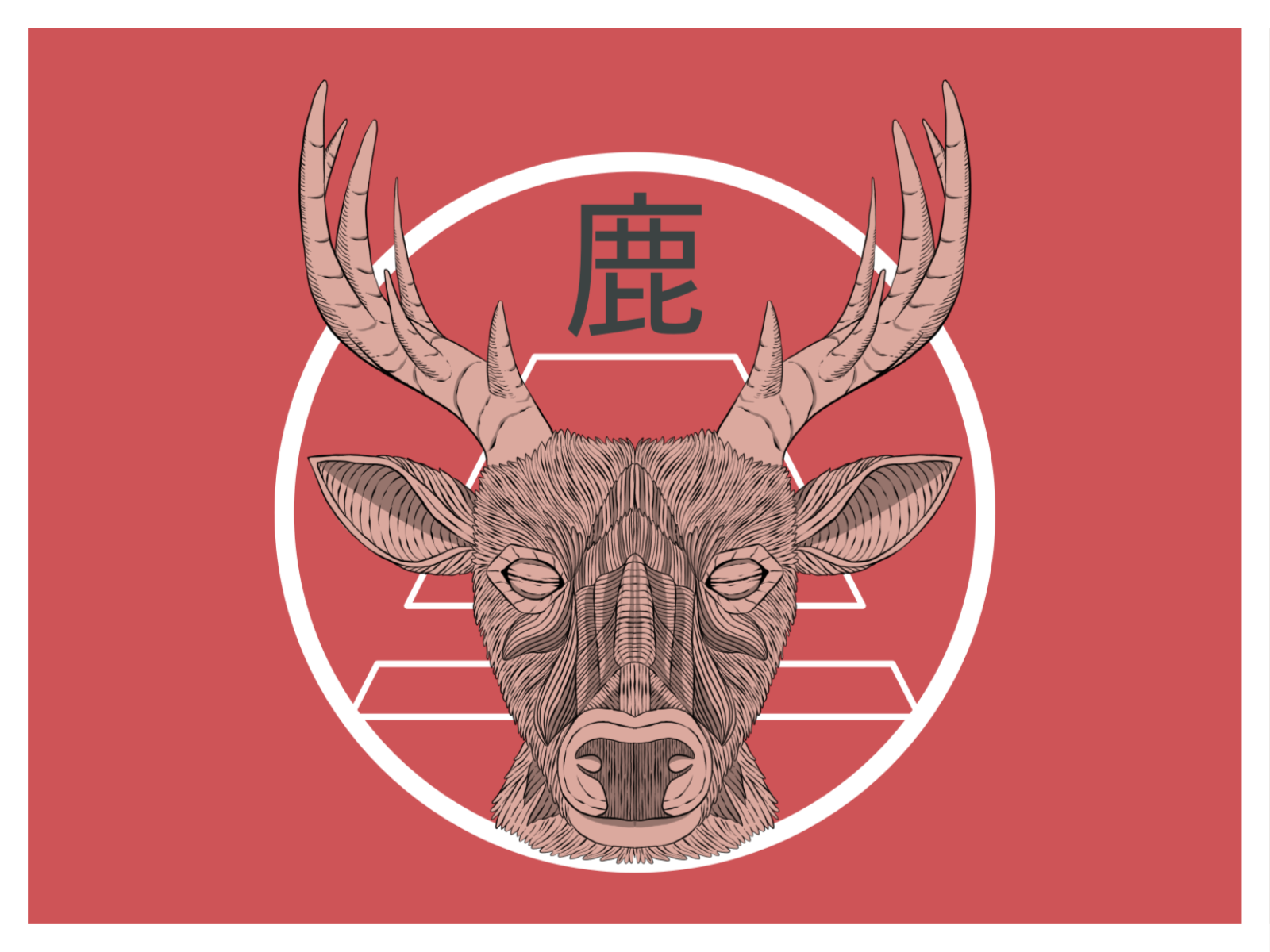 Shika by Novan A. B. Saputra on Dribbble
