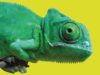 Polygon Chameleon chameleon illustration polygonart vector