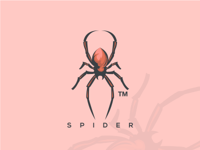 Spider logo spider