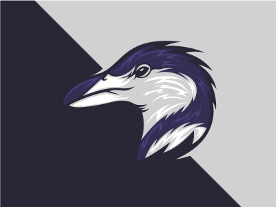 Pinguin Designs Themes Templates And Downloadable Graphic Elements On Dribbble Pinguin Designs Themes Templates And Downloadable Graphic Elements On Dribbble