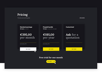 TechAnalyze-Pricing adobe photoshop clean design development pricing ui ux web website