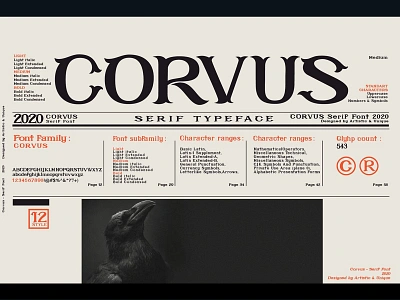 CORVUS - Serif font family alphabet typography branding creative market design designer font design font family gothic graphic design magazine modern font multilingual opentype serif serif font type typeface typeface design typography typography art