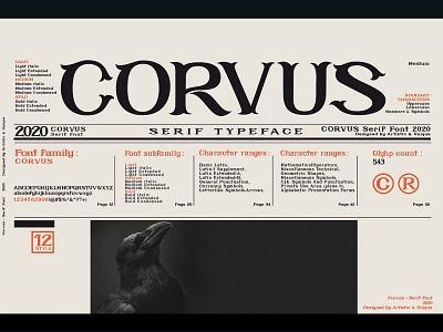 CORVUS - Serif font family