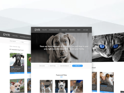 Pet Adoption Platform adopt a pet clan concept homepage listing layout pet pet adoption search bar sketch ui design wireframe