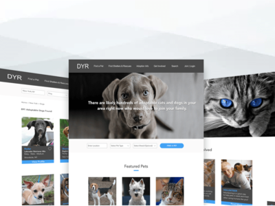 Ui design dyr gelso designs