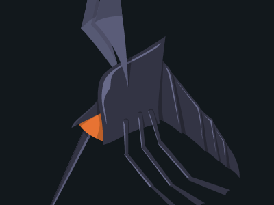 Full Mosquito illustration mograph mentor