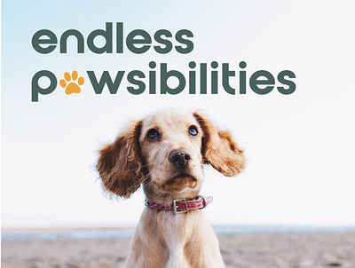 Endless Pawsibilities: Training & Pet Retreat branding design dog dog brand dog logo graphic design logo logo logo design logo design concept