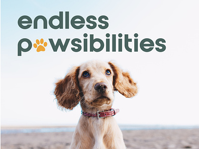 Endless Pawsibilities: Training & Pet Retreat
