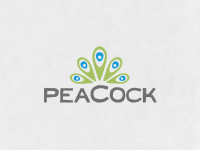 Peacock feather identity logo peacock photography