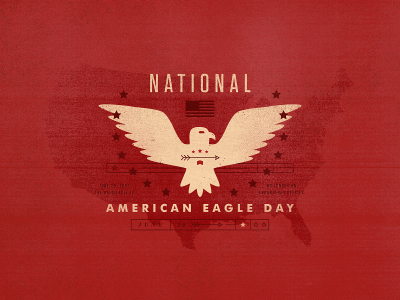 American Eagle Day by Jay Roberts on Dribbble